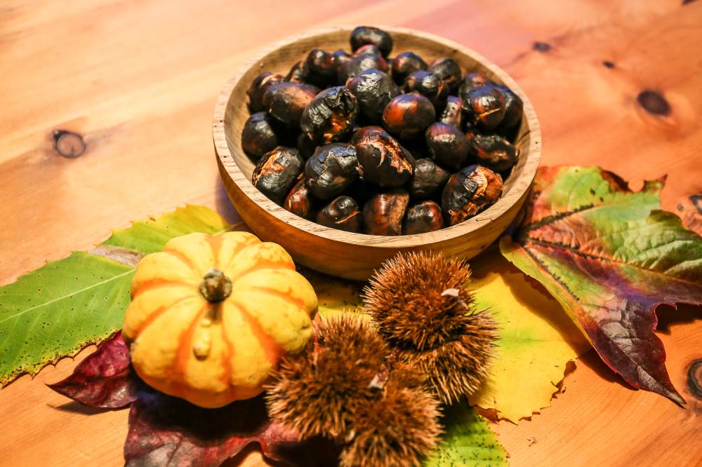 castagne al Larmhof in alto adige